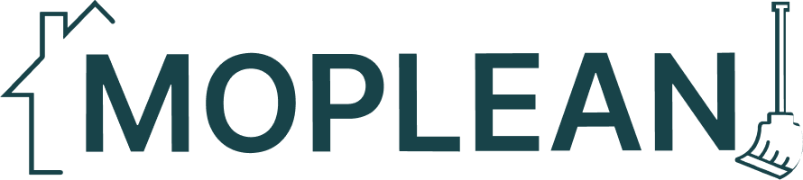 danslamer logo image